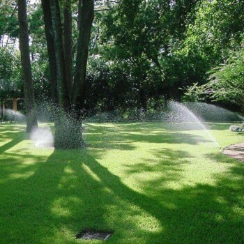 Southwest Property Landscaping - Landscaping Company Houston - 7